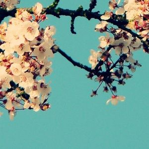 Meet your Posher, Monserrat